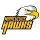 Miraculous Hawks