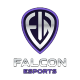Falcon Gaming