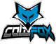 Coldfox E-sports