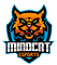 Mindcat Esports
