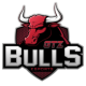 GTZ Bulls